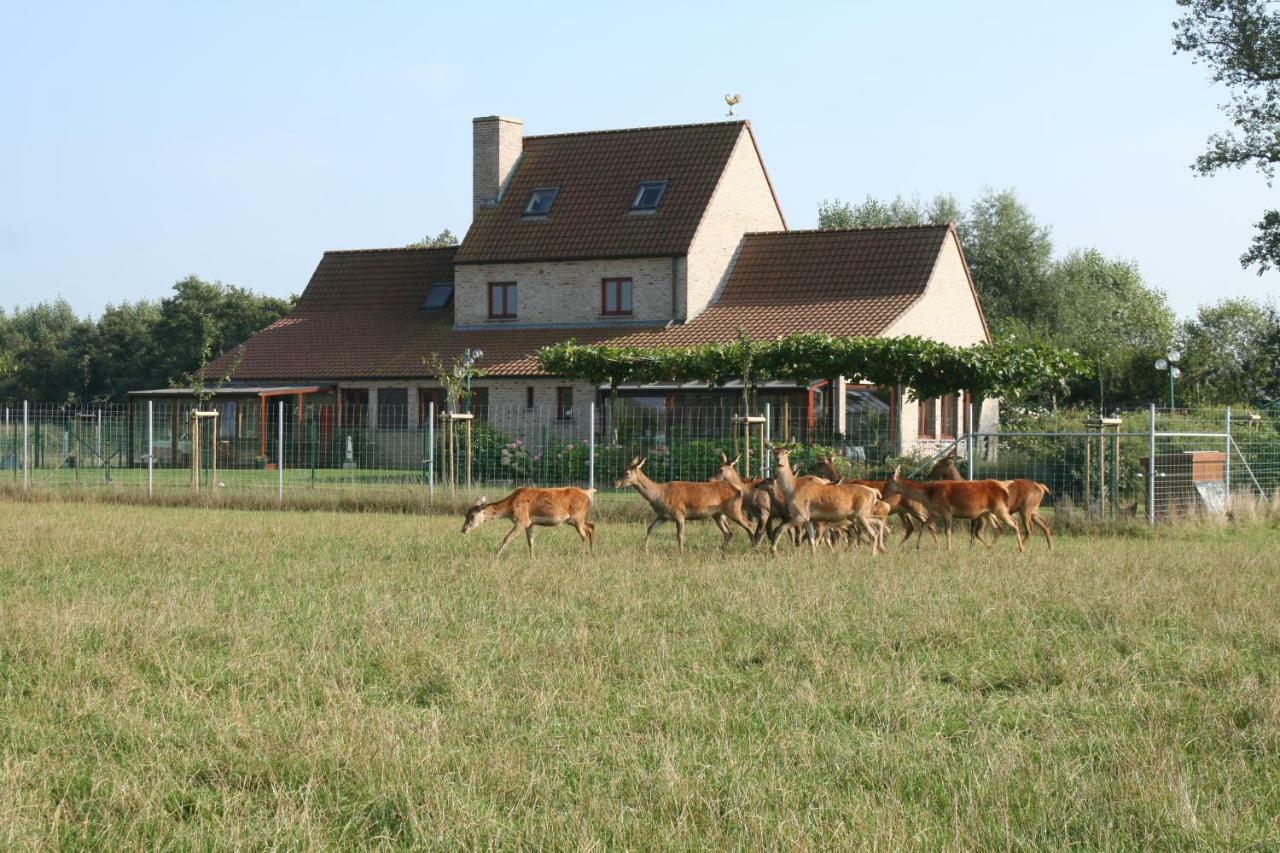 'T Leeg Huys Villa Lo-Reninge Kültér fotó